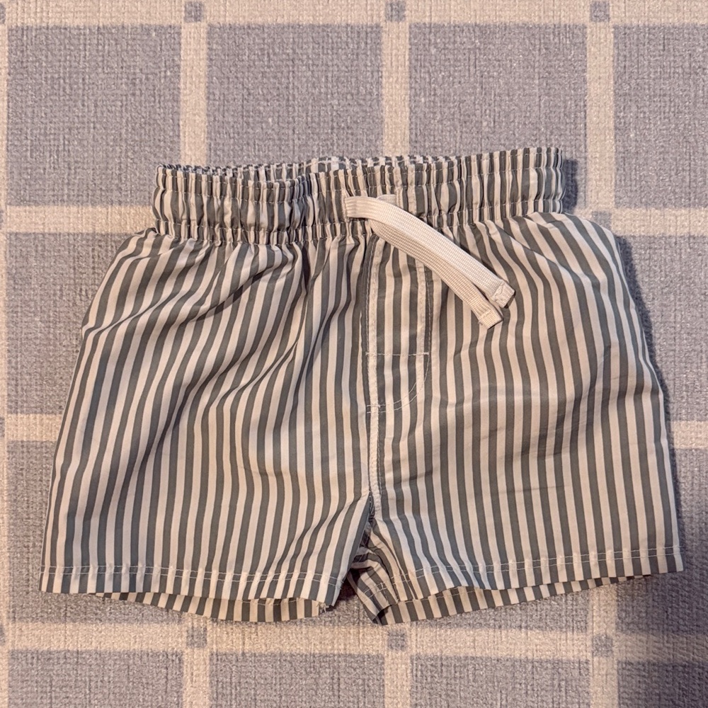 H&M Striped Swim Trunks